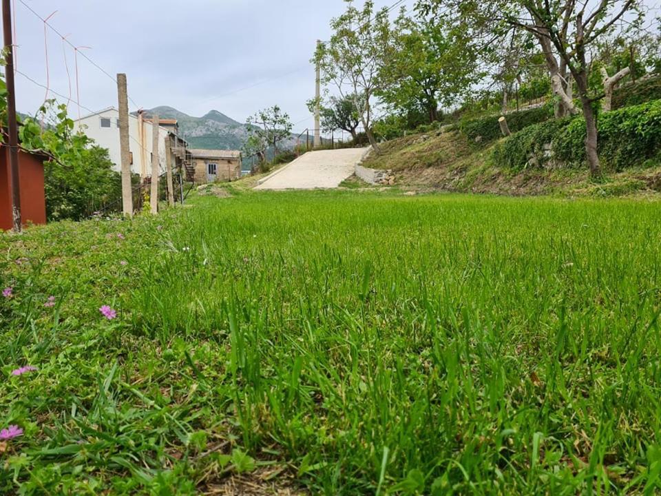 Holiday Home Vulezic Bar Bagian luar foto